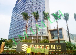 Shunde Rural Commercial Bank Governance Project